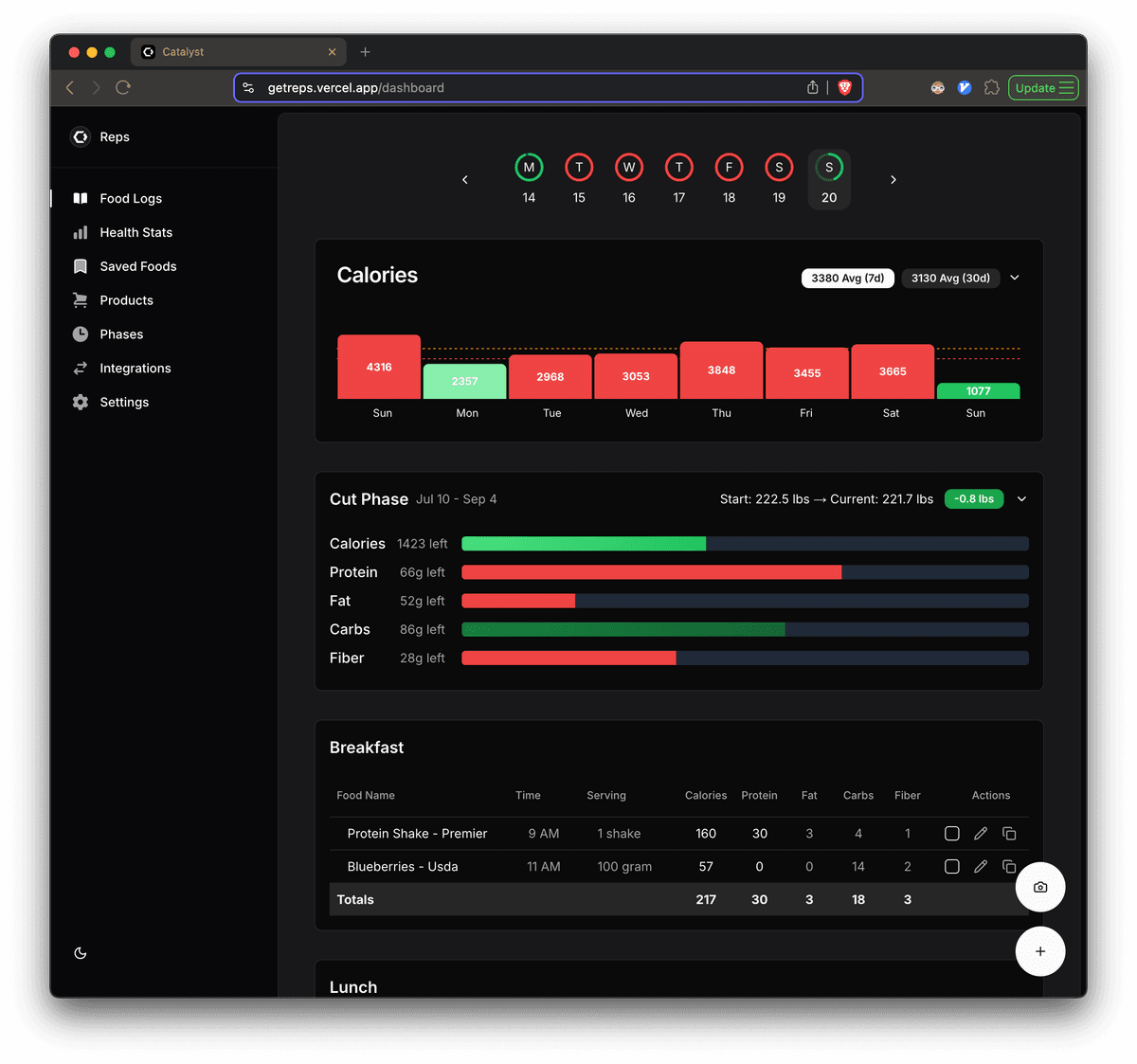 Bricks web dashboard showing detailed nutrition analytics and food logging